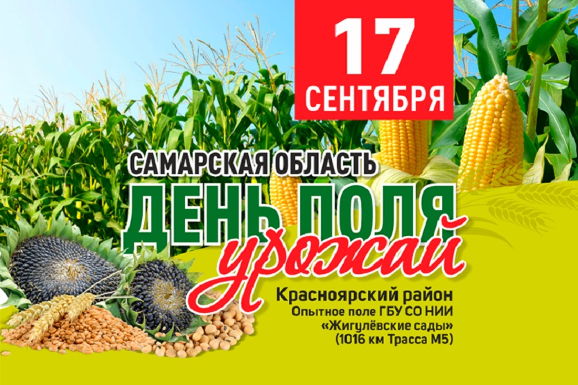 Осенний День Поля и Урожая в Самарской области – 17 СЕНТЯБРЯ