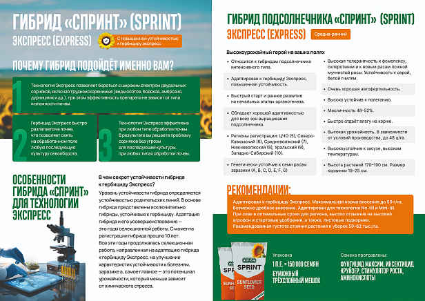 ООО "РостЛайн Поволжье"