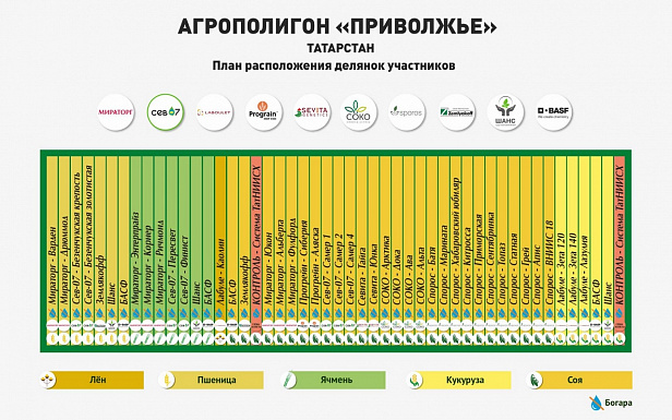 День Поля на Агрополигоне в Татарстане 24 августа 2023